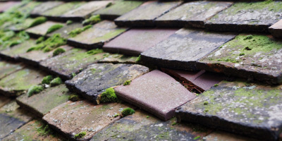 Llansadurnen roof repair costs